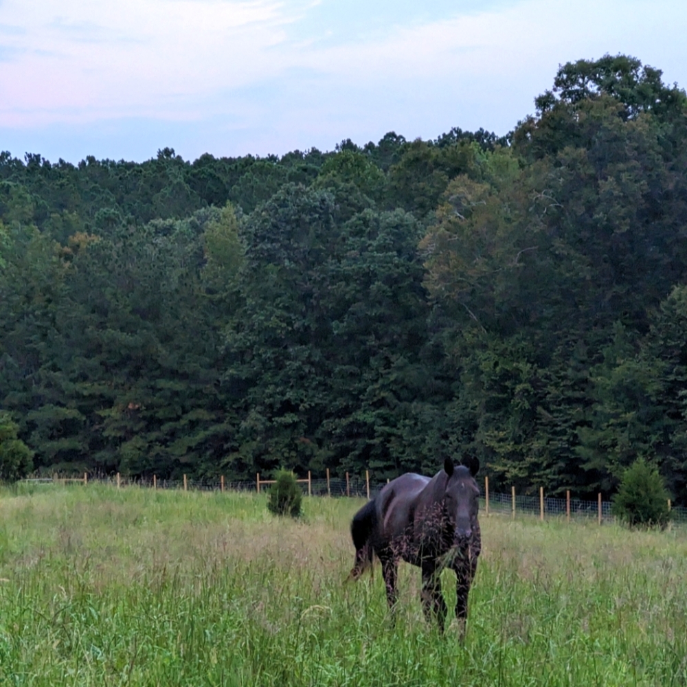 super exciting deals to be had here!!!